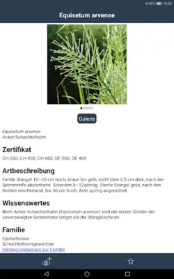 Feldbotanik android App screenshot 0